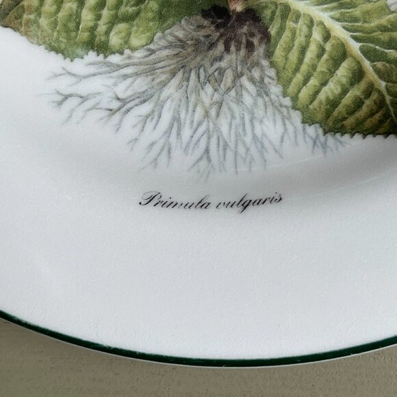 Royal Vale Primula Vulgaris Collector Plate Botanical Pattern Made in England - Picture 5 of 10